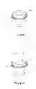 Fig. 04 - Epidermal down-growth barrier