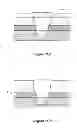 Fig. 09 - Epidermal down-growth barrier