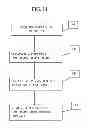 Fig. 13 - Epidermal down-growth barrier