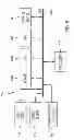 Fig. 06 - System and method for monitoring physiological functions