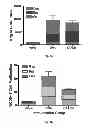Fig. 06 - Oral mucosal electroporation device and use thereof