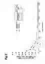 Fig. 06 - MICRO-NEEDLE DEVICE AND PREPARATION METHOD