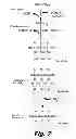 Fig. 07 - Modular Drug Delivery System for Minimizing Trauma During and After Insertion of a Cochlear Lead