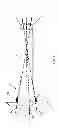 Fig. 02 - Multi wire sheath