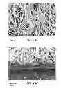 Fig. 18 - Electro-osmotic pumps, systems, methods, and compositions