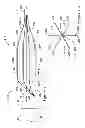 Fig. 05 - Expandable scaffold with cutting elements mounted thereto