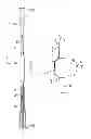 Fig. 08 - Balloon catheter with dilating elements