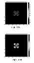 Fig. 12 - Virtual electrodes for high-density electrode arrays