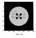 Fig. 14 - Virtual electrodes for high-density electrode arrays