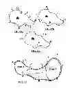 Fig. 08 - Robotic lawn mower with network sensors