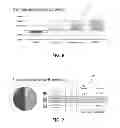 Fig. 06 - VALUATING ENERGY MANAGEMENT SYSTEMS