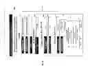 Fig. 29 - Conference calls and meetings via electronic messaging interface