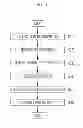 Fig. 06 - Multi-network based simultaneous data transmission method and apparatuses applied to the same