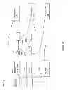 Fig. 12 - Event queues