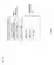 Fig. 14 - Event queues
