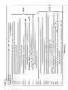 Fig. 29 - Event queues