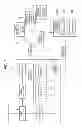 Fig. 06 - Broadcast signal receiver, method for providing broadcast signal relation information, and server