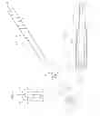 Fig. 02 - Riding Crop