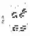 Fig. 07 - Reconfigurable phase change material masks for electro-optical compressive sensing