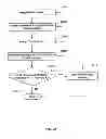 Fig. 29 - WEIGHT LOSS OR WEIGHT MANAGEMENT SYSTEM