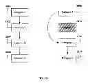 Fig. 30 - WEIGHT LOSS OR WEIGHT MANAGEMENT SYSTEM