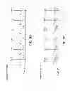 Fig. 07 - Successive approximation analog to digital converter with capacitor mismatch calibration and method thereof