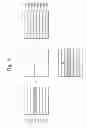 Fig. 07 - THREE-DIMENSIONAL IMAGE DISPLAY APPARATUS AND METHOD OF DRIVING THE SAME