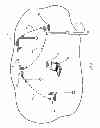 Fig. 06 - Combination Lamp and Wireless Network Access System