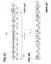 Fig. 06 - Long range WLAN data unit format
