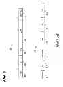 Fig. 07 - Long range WLAN data unit format