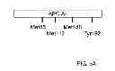 Fig. 08 - Methods and compositions for targeted imaging