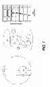 Fig. 02 - DELIVERY SYSTEM FOR SPECIFICALLY TARGETING CANCER CELLS AND METHOD OF USE THEREOF