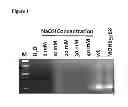 Fig. 02 - Methods of polynucleotide detection