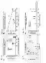 Fig. 09 - Methods and compositions for control of gypsy moth, 