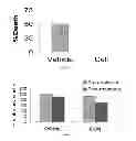 Fig. 02 - METHODS OF TREATING STROKE THROUGH ADMINISTRATION OF CTX0E03 CELLS