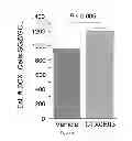 Fig. 05 - METHODS OF TREATING STROKE THROUGH ADMINISTRATION OF CTX0E03 CELLS