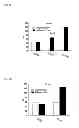 Fig. 06 - Mucosal vaccines