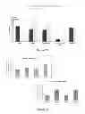 Fig. 40 - Glycosaminoglycans