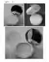 Fig. 02 - COSMETIC PRODUCT COMPRISING UV-BLOCKING COSMETIC COMPOSITION IMPREGNATED INTO EXPANDED URETHANE FOAM