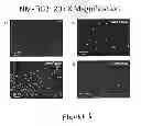 Fig. 07 - SURFACE MODIFICATION OF IMPLANT DEVICES