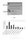 Fig. 02 - Bacteria and the uses thereof