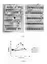 Fig. 03 - Bacteria and the uses thereof