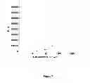Fig. 08 - METHODS AND KITS FOR DETERMINING THE TOXICITY OF AN AGENT
