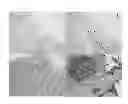 Fig. 09 - Composition for cancer prognosis prediction comprising anti-TMAP/CKAP2 antibodies