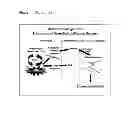 Fig. 02 - METHOD FOR DISCOVERING NEUROGENIC AGENTS