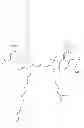 Fig. 44 - Benzocyanine compounds