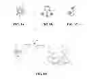 Fig. 02 - NEURAL NANOPROBES