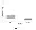 Fig. 06 - NEURAL NANOPROBES