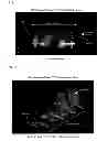 Fig. 02 - CLEARING REAGENT FOR BIOLOGICAL MATERIAL, AND USE THEREOF