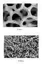 Fig. 02 - Composite of porous substrate and one-dimensional nanomaterial and method for preparing the same, surface-modified composite and method for preparing the same